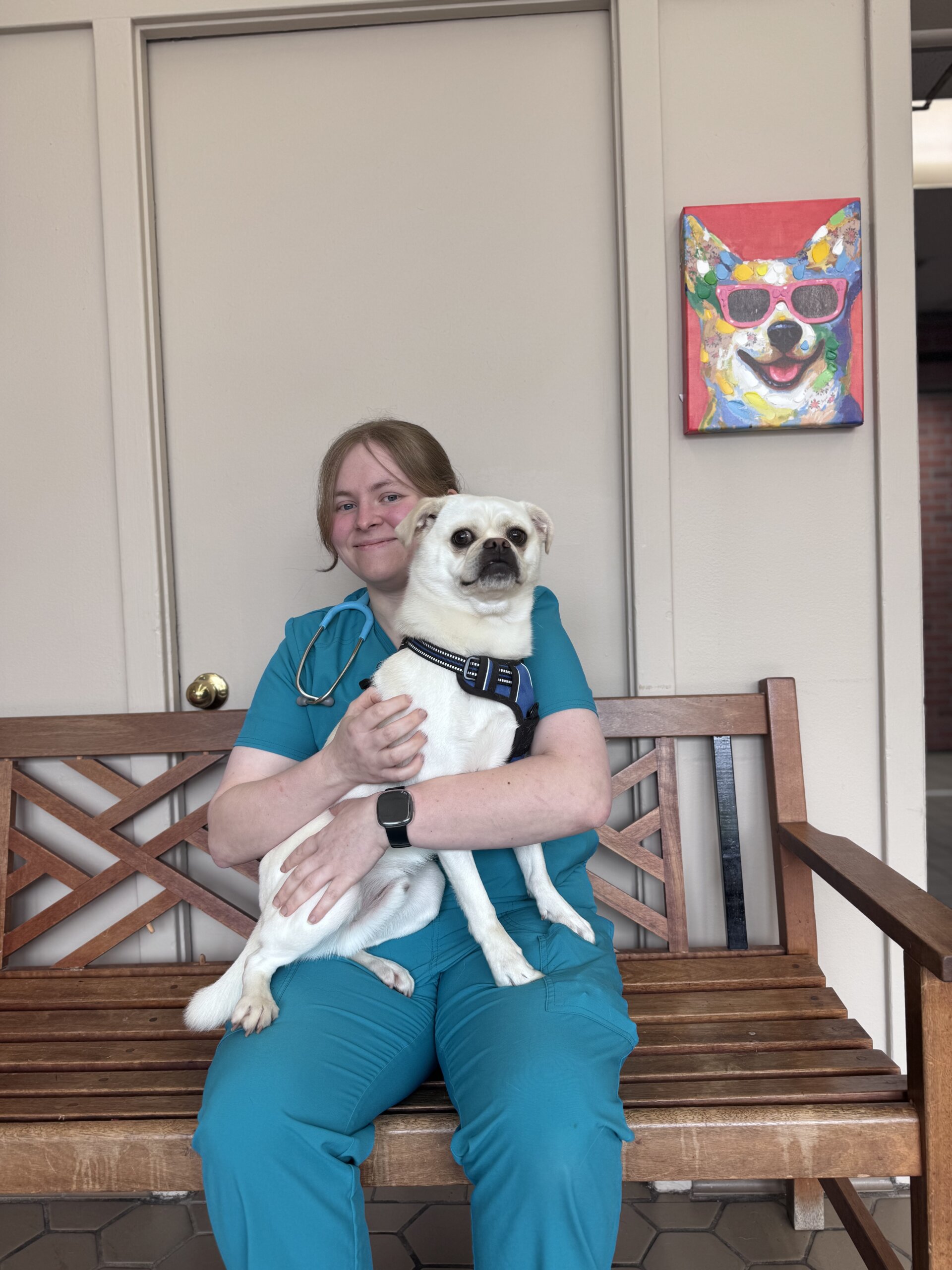 Hannah, Veterinary Assistant, Internal Medicine